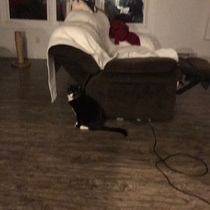 Meet your Posher, Nikki